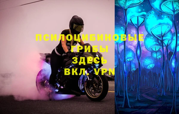 первитин Армянск